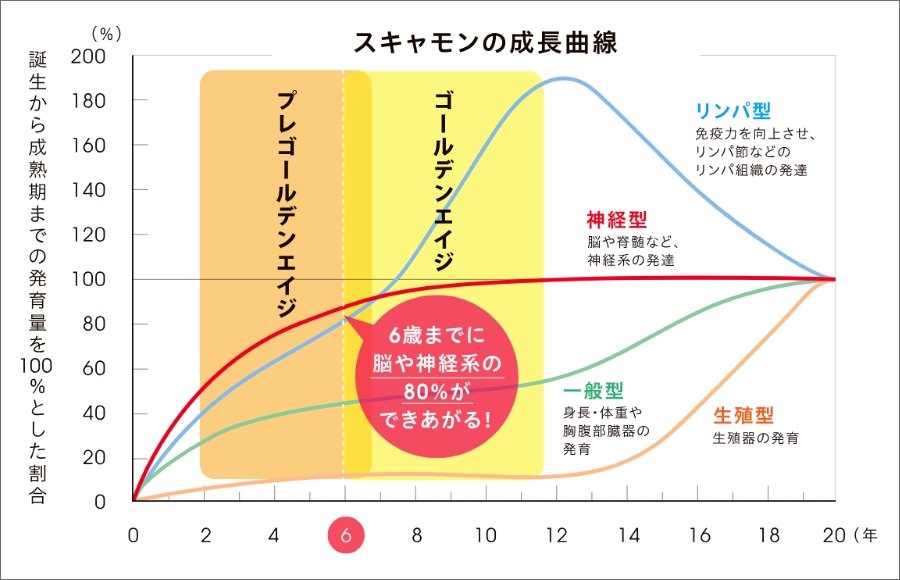 スキャモンの成長曲線 グラフ